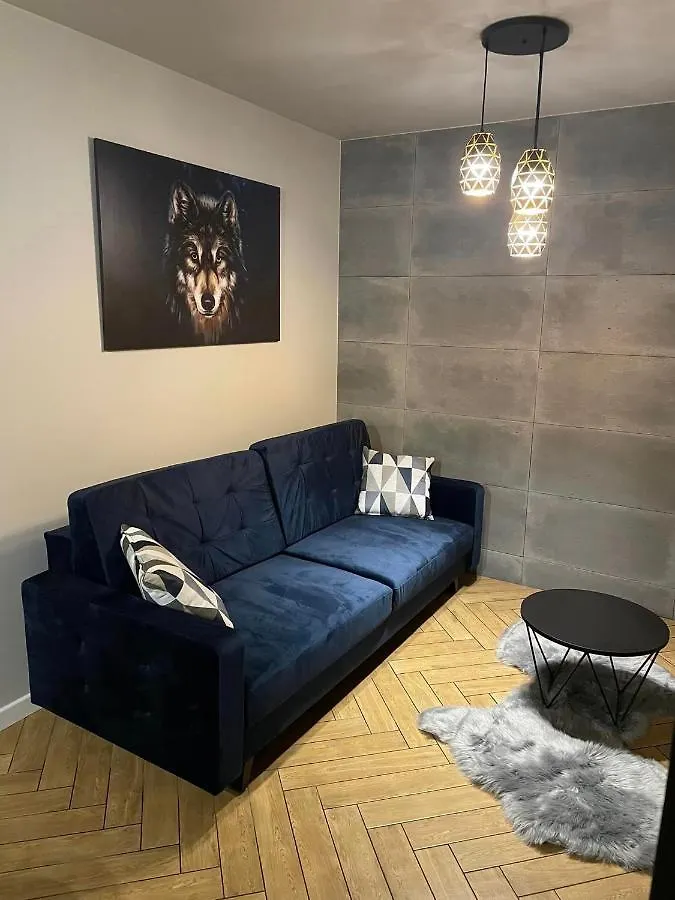 Apartamenty Szary Wilk - Klimatyczne Apartamenty Dla 2 Osob - Blisko Centrum -Bezplatny Parking Zakopane