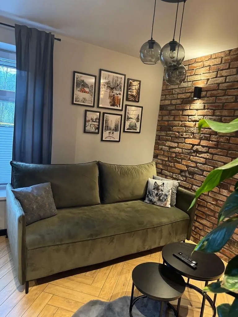 Apartamenty Szary Wilk - Klimatyczne Apartamenty Dla 2 Osob - Blisko Centrum -Bezplatny Parking Zakopane 0*,